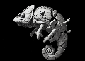 chameleonaslt